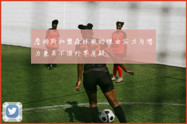 詹姆斯加盟森林狼的理由实力与潜力兼具不惧外界质疑